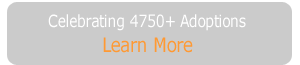 Learn More