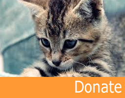 Donate