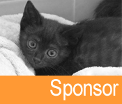 Sponsor
